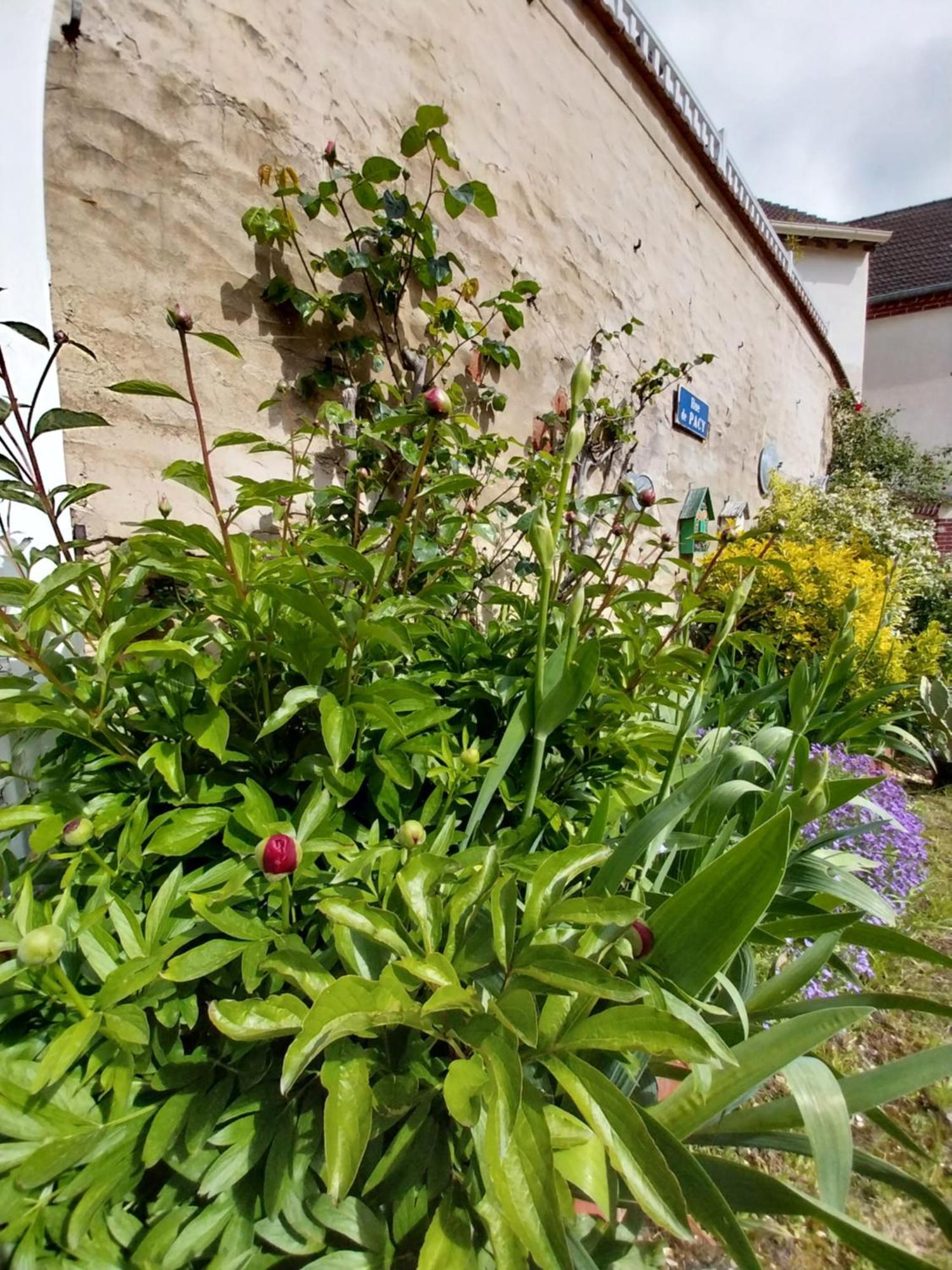 La Petite Maison Gasny Bagian luar foto